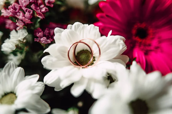 Anéis de casamento em uma flor — Fotografia de Stock