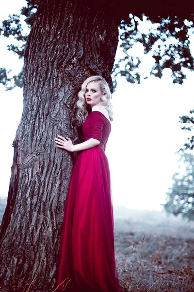 Moda güzel sarışın genç kadın bir masal ormandaki güzel Kırmızı elbiseli. sihirli bir atmosfer. Düzeltisiz tonlama atış — Stok fotoğraf