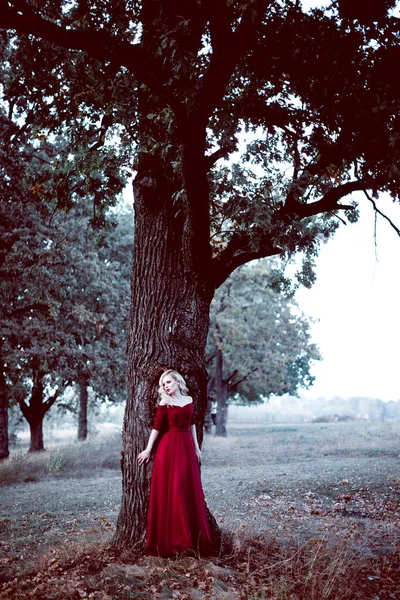 Модная красивая молодая блондинка в красивом красном платье в сказочном лесу. волшебная атмосфера. Ретушированный тонизирующий кадр — стоковое фото