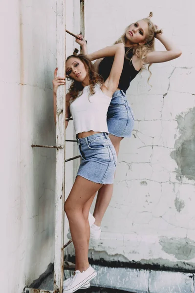 Estilo de vida y el concepto de la gente: Retrato de moda de dos chicas con estilo mejores amigos con faldas vaqueros, al aire libre en el techo. Feliz verano por diversión . —  Fotos de Stock