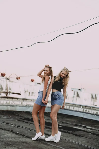 Estilo de vida y el concepto de la gente: Retrato de moda de dos chicas con estilo mejores amigos con faldas vaqueros, al aire libre en el techo. Feliz verano por diversión . —  Fotos de Stock