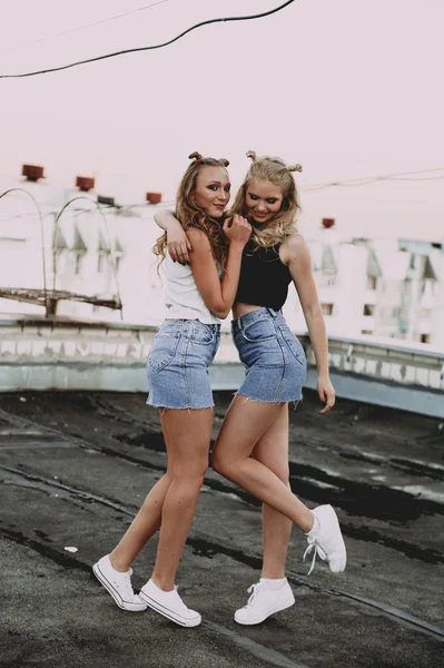 Estilo de vida y el concepto de la gente: Retrato de moda de dos chicas con estilo mejores amigos con faldas vaqueros, al aire libre en el techo. Feliz verano por diversión . —  Fotos de Stock