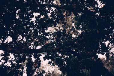 Kırmızı dudaklar ve saç ile güzel ve zarif sarışın kadın giyiyor şarap kırmızı gece sonbahar, retro vintage tarzı ve moda yatakta açık havada poz dalgalar.