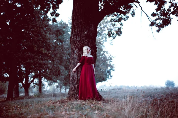 Moda linda jovem loira em belo vestido vermelho em uma floresta de conto de fadas. atmosfera mágica. tonificação tiro — Fotografia de Stock