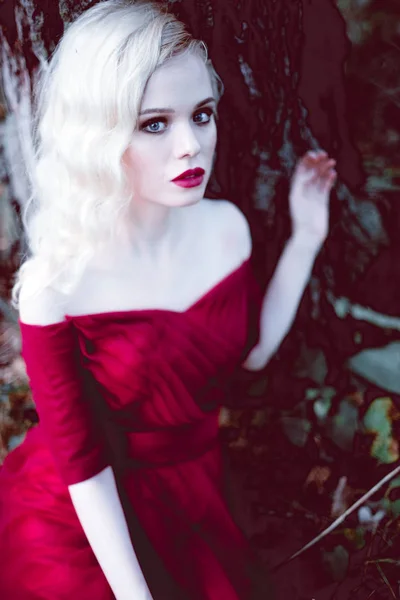 Moda hermosa mujer rubia joven en hermoso vestido rojo en un bosque de cuento de hadas. atmósfera mágica. tiro tonificante —  Fotos de Stock