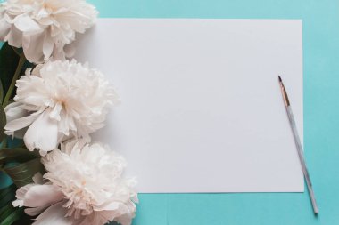 Gogreous peonies çiçek ve boş etiket mavi zemin üzerine beyaz. Düz yatıyordu. Kopya alanı ve watecolor metin için bir fırça ile Üstten Görünüm.