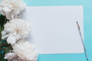 Gogreous peonies çiçek ve boş etiket mavi zemin üzerine beyaz. Düz yatıyordu. Kopya alanı ve watecolor metin için bir fırça ile Üstten Görünüm.