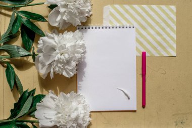 Yalnız bej beyaz Şakayık eski boyalı sarı ahşap arka plan doku defter ve kalem ile yaz için. Kopya alanı düz yatıyordu, en iyi Manzaralı