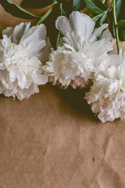 Padrão de peônias brancas no fundo de papel artesanal com espaço de cópia, flat lay — Fotografia de Stock