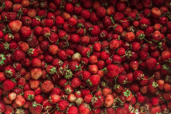 Bakgrund från nyskördade jordgubbar, direkt ovan — Stockfoto
