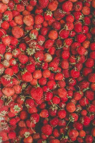 Φόντο από φρεσκοκομμένες φράουλες, ακριβώς από πάνω — Φωτογραφία Αρχείου