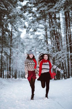 İki genç genç hippi kız arkadaş birlikte. İki kız kardeş hugs moda portre kadar kapatın ve having fun kış zaman ormanda giyen kazak ve tulum, en iyi arkadaş çift açık havada, karlı gitmedenen