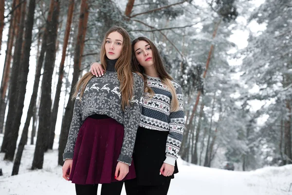 Dois jovens amigos hipster menina adolescente juntos.Close up retrato de moda de duas irmãs abraços e se divertindo tempo de inverno, vestindo suéter, melhores amigos casal ao ar livre, tempo nevado — Fotografia de Stock