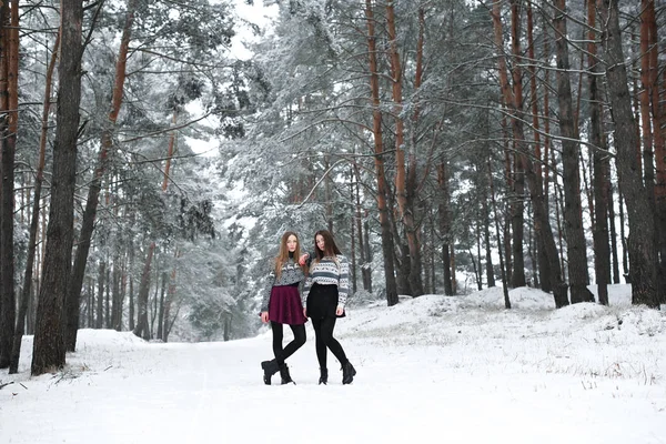Två unga tonårings hipster flicka vänner tillsammans.Närbild mode porträtt av två systrar kramar och ha kul vintertid, bär tröja, bästa vänner par utomhus, snöigt väder — Stockfoto