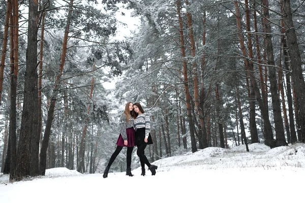 Dois jovens amigos hipster menina adolescente juntos.Close up retrato de moda de duas irmãs abraços e se divertindo tempo de inverno, vestindo suéter, melhores amigos casal ao ar livre, tempo nevado — Fotografia de Stock