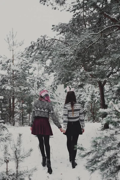 Двоє молодих дівчат-підлітків друзів-хіпстерів. Крупним планом портрет моди двох сестер обіймає і розважається, ходить в зимовий ліс, одягнений в рожеві капелюхи, вуха кролика і светр, кращі друзі кубик — стокове фото