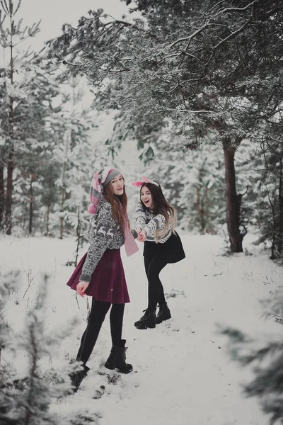 Two young teenage hipster girl friends together.Close up fashion portrait of two sisters hugs and having fun, walking in winter time forest, wearing pink hats, rabbit ears and sweater,best friends cou — Stock Photo, Image