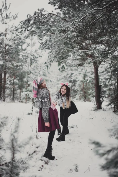 Two young teenage hipster girl friends together.Close up fashion portrait of two sisters hugs and having fun, walking in winter time forest, wearing pink hats, rabbit ears and sweater, best friends cou — стоковое фото