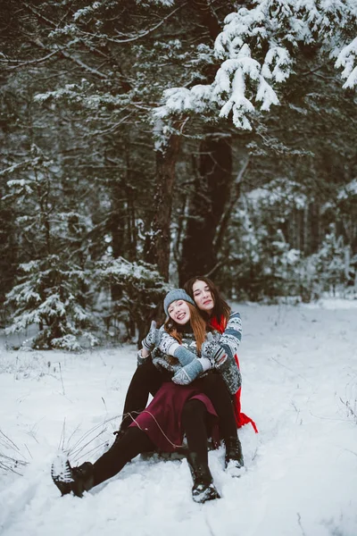 Two young teenage hipster girl friends together.Close up fashion portrait of two sisters hugs and having fun, ride on sled in winter time forest, wearing sweaters and scarfs, best friends couple outdoo — стоковое фото