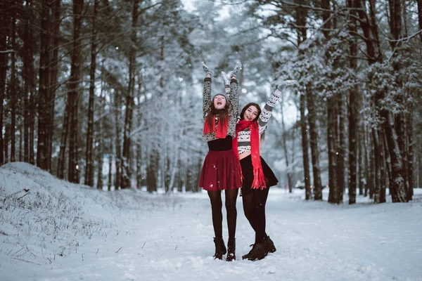 Két fiatal tizenéves csípő lány meg együtt. Közelről divat portréja két nővér ölelést és a szórakozás téli idő erdőben visel pulóverek és sálak, legjobb meg pár szabadban, havas weat — Stock Fotó