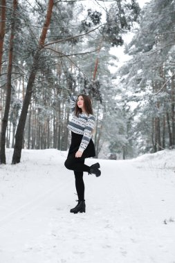 Süveter giyen güzel esmer bir kadının kış portresi. Kar yağan kış güzellik moda konsepti.