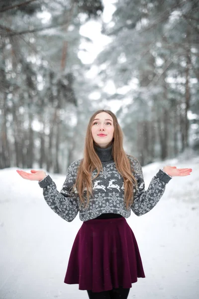 Süveter giyen güzel esmer bir kadının kış portresi. Kar yağan kış güzellik moda konsepti.