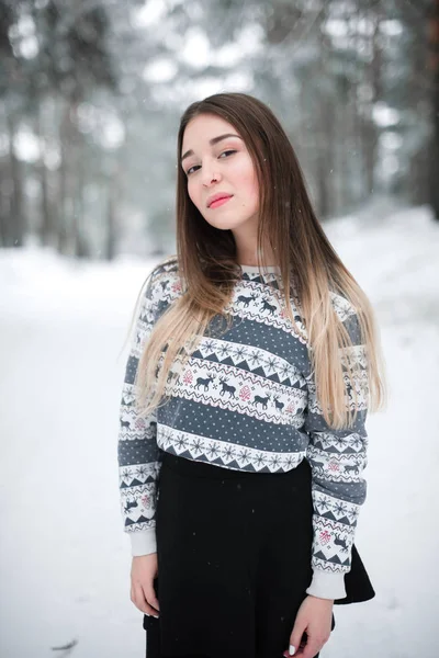 Retrato de invierno de una joven morena hermosa con suéter. Nieva concepto de moda belleza invierno . — Foto de Stock