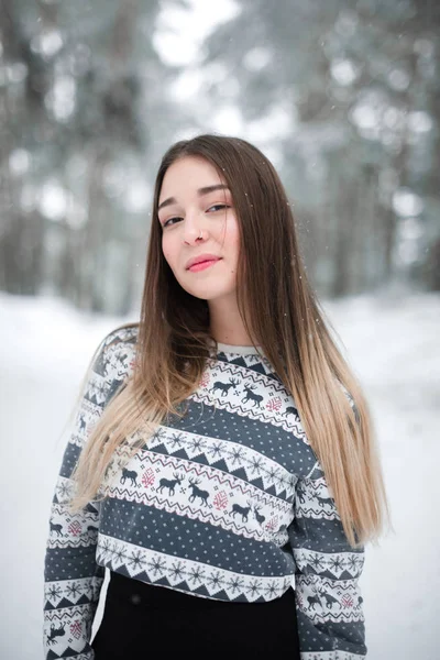 Vinterporträtt av ung vacker brunett kvinna bär tröja. Snövit vinter skönhet mode koncept. — Stockfoto