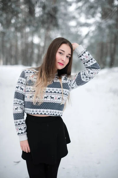 드레스입은 아름다운 갈색 머리 여자의 겨울 초상화. 겨울의 아름다운 패션 컨셉. — 스톡 사진