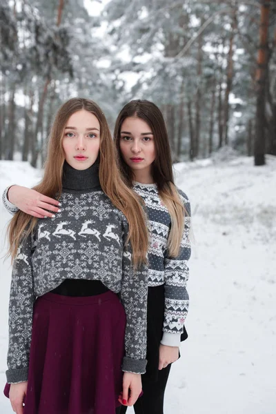 Dois jovens amigos hipster menina adolescente juntos.Close up retrato de moda de duas irmãs abraços e se divertindo tempo de inverno, vestindo suéter, melhores amigos casal ao ar livre, tempo nevado — Fotografia de Stock