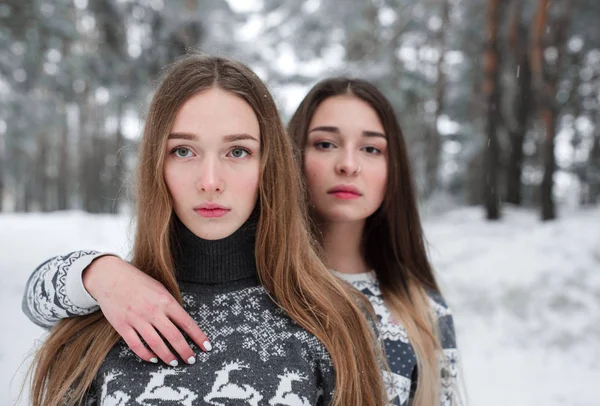 Dois jovens amigos hipster menina adolescente juntos.Close up retrato de moda de duas irmãs abraços e se divertindo tempo de inverno, vestindo suéter, melhores amigos casal ao ar livre, tempo nevado — Fotografia de Stock