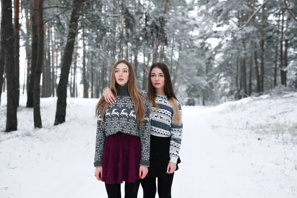 Dois jovens amigos hipster menina adolescente juntos.Close up retrato de moda de duas irmãs abraços e se divertindo tempo de inverno, vestindo suéter, melhores amigos casal ao ar livre, tempo nevado — Fotografia de Stock