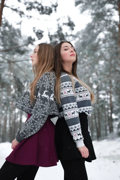 Δύο νεαρές έφηβες hipster φίλες μαζί.Κοντινό πλάνο πορτρέτο μόδας δύο αδελφές αγκαλιές και να διασκεδάσουν το χειμώνα, φορώντας πουλόβερ, οι καλύτεροι φίλοι ζευγάρι σε εξωτερικούς χώρους, χιονισμένο καιρό — Φωτογραφία Αρχείου