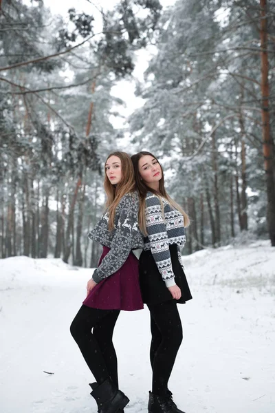 Two young teenage hipster girl friends together.Close up fashion portrait of two sisters hugs and having fun winter time, wearing sweater, best friends couple outdoors, snowy weather — стоковое фото