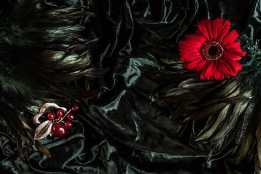 Kadife arka plan üzerinde Vintage metal kırmızı broş