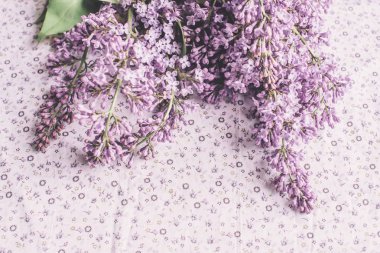 Bahar çiçekleri. Beyaz kumaş zemin üzerine Eflatun çiçek yaprakları. Üstten Görünüm, düz yatıyordu