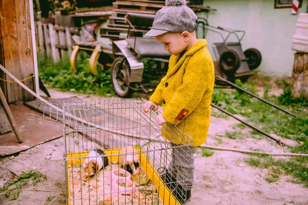 Niño Buscando Animal Granja Campo — Foto de Stock