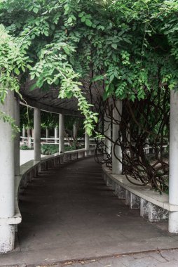Zhejiang Jiaxing Güney Gölü Sahne Parkı.