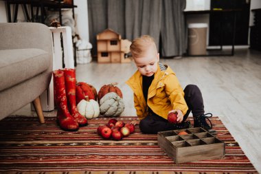İki yaşındaki havalı hippi çocuk, sonbahar dekorunun süslü fotoğraf sahasında güzel, parlak sonbahar yapraklarıyla poz veriyor. Sıcak atmosfer