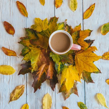 Kahve fincanı ve sarı sonbahar yaprakları. Durgun hayat, üst bakış açısı, düz yatak..