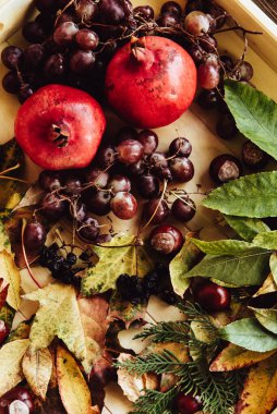 Sonbahar hala hayattır. elma, balkabağı, nar, viburnum, yapraklar.