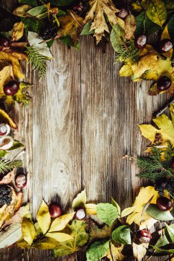 Yeşil ve sarı yapraklı sonbahar ahşap arka planı