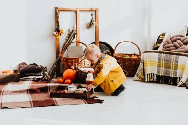 İki yaşındaki havalı hippi çocuk, sonbahar dekorunun süslü fotoğraf sahasında güzel, parlak sonbahar yapraklarıyla poz veriyor. Sıcak atmosfer