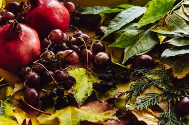 Sonbahar hala hayattır. elma, balkabağı, nar, viburnum, yapraklar.