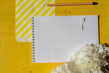 Eski boyalı sarı ahşap grunge arkaplan dokusu üzerinde tek bej beyaz şakayık düz, fotokopi alanı ile üst görünüm