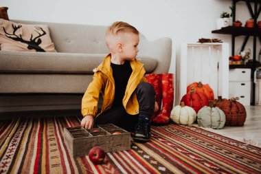 İki yaşındaki havalı hippi çocuk, sonbahar dekorunun süslü fotoğraf sahasında güzel, parlak sonbahar yapraklarıyla poz veriyor. Sıcak atmosfer