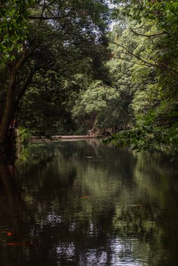 Lingyin Tapınağı 'ndaki (Ruhlar Tapınağı) Feilai Feng' de kaya atölyesi. Çin 'deki en büyük Budist tapınaklarından biri. Güzel doğa.