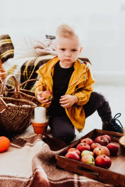 İki yaşındaki havalı hippi çocuk, sonbahar dekorunun süslü fotoğraf sahasında güzel, parlak sonbahar yapraklarıyla poz veriyor. Sıcak atmosfer