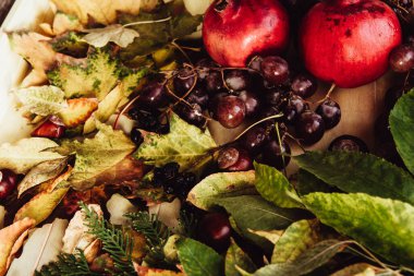 Sonbahar hala hayattır. elma, balkabağı, nar, viburnum, yapraklar.