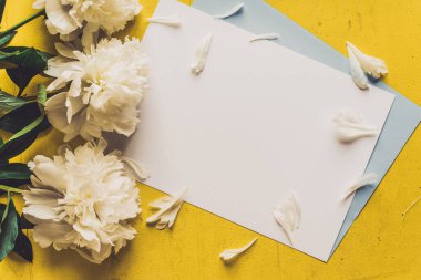 Eski boyalı sarı ahşap grunge arkaplan dokusu üzerinde tek bej beyaz şakayık düz, fotokopi alanı ile üst görünüm